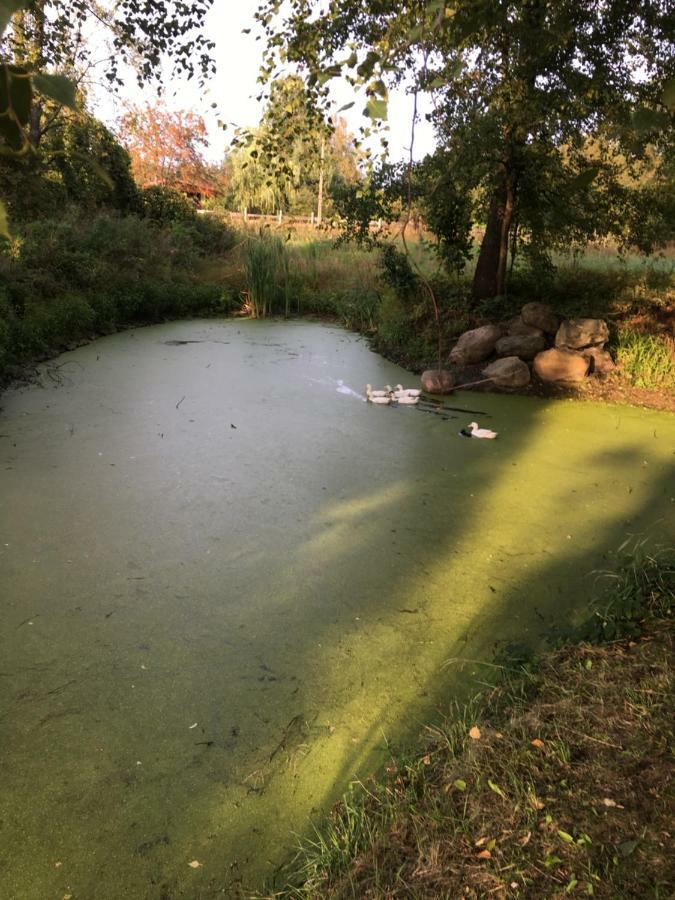 Siedlisko Nasza Chata Popiolki Kültér fotó